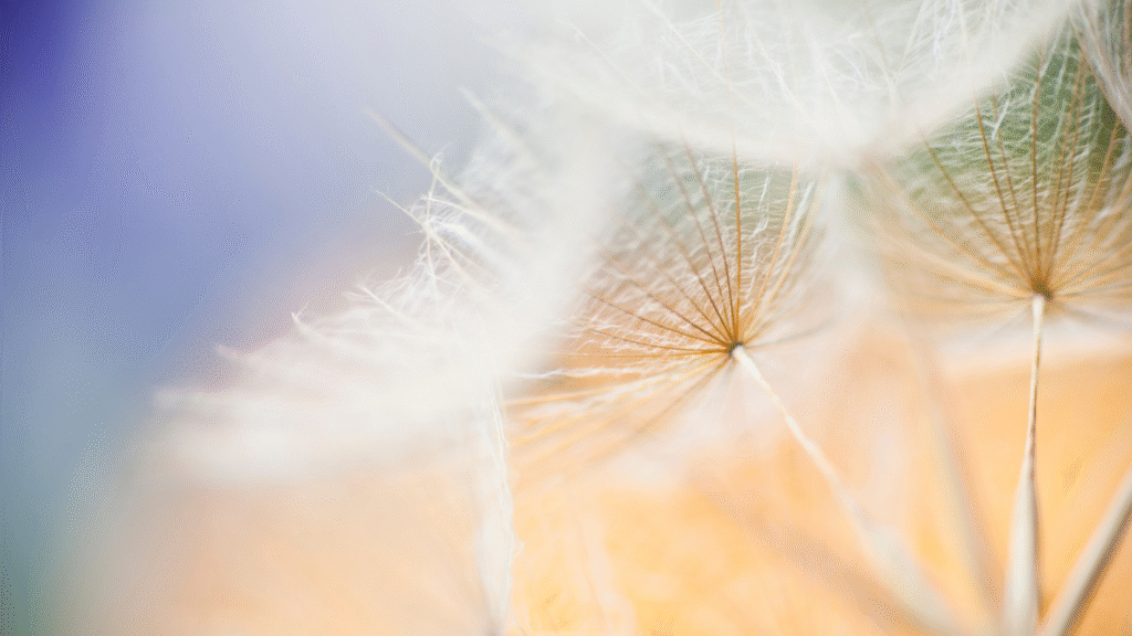 O Código Invisível - Espaço RëhZen